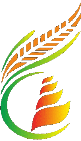 Zieda Logo